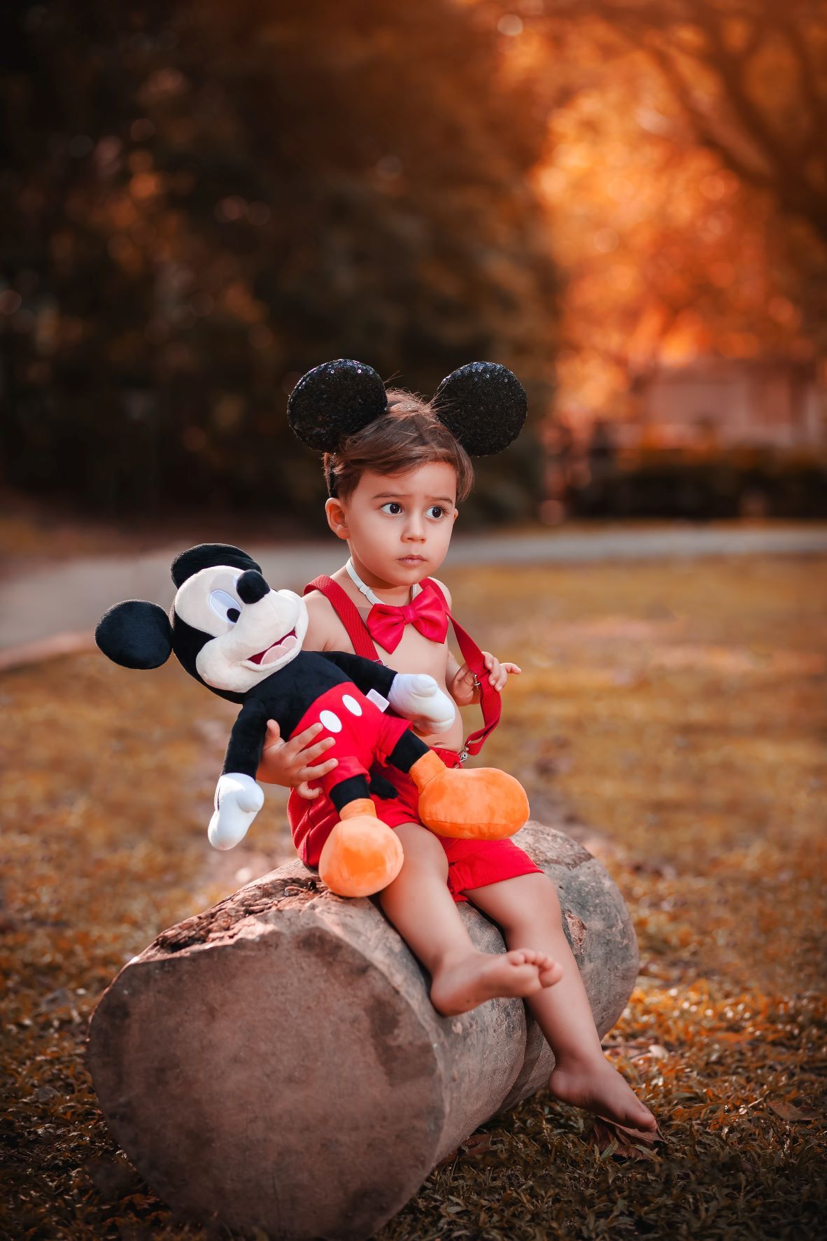 Best stroller for Disney