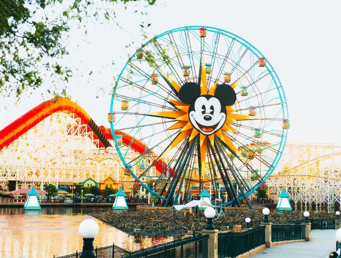 Best Stroller For Disney
