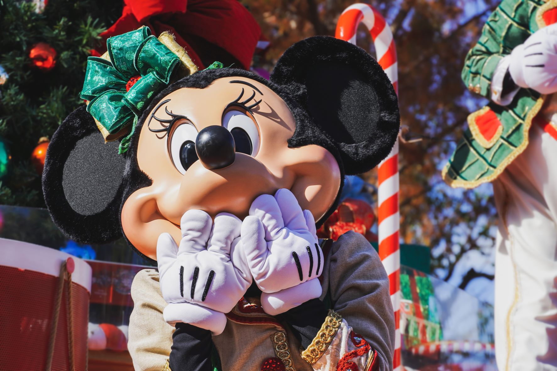 Best Double Stroller For Disneyland