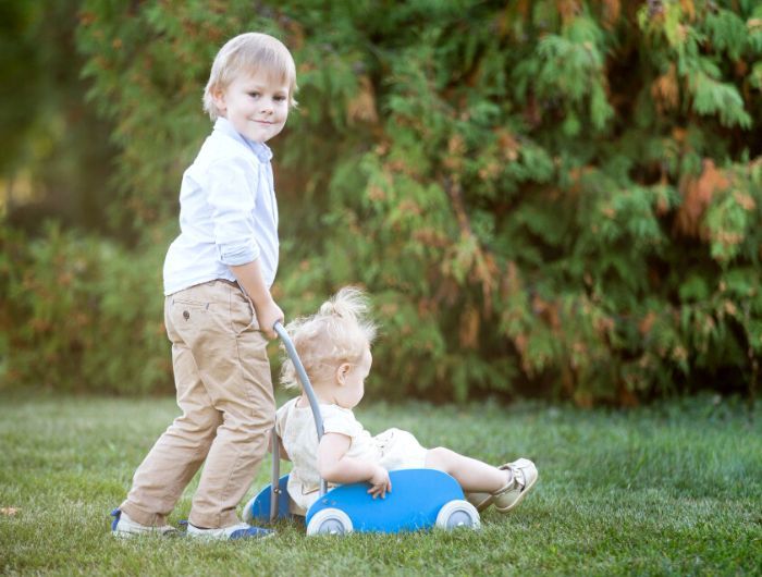 best baby walker for carpet