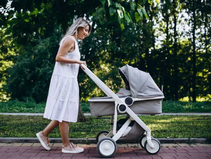 Best Stroller For Your Newborn Top 12 in 2024