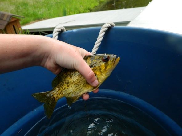 best kids fishing pole